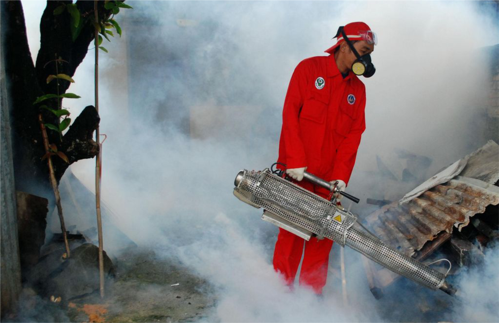 Kasus DBD sedang tinggi, Waspada Komplikasi nya